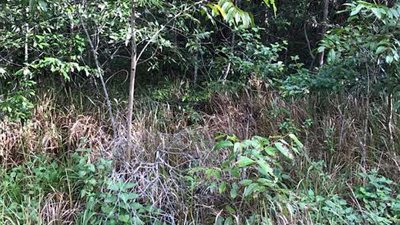 صياد يتحدى متابعيه في العثور على ثعبان مختبئ (صور)