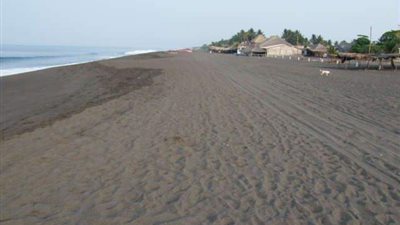 «الرمال السوداء.. كنوز النيل المنسية».. مصر تحتوي أكبر احتياطي عالمي منها.. تمتد لـ 400 كيلومتر من رشيد لـ«رفح».. تستخدم في صناعة هياكل الصواريخ والطائرات.. المفاعلات النووية لا تس