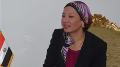 وزيرا الصناعة والبيئة يبحثان خفض الانبعاثات الخطيرة في المصانع