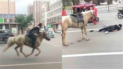 نهاية مروعة لـ«سكران» امتطى حصانا (فيديو)