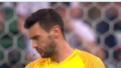 الحشرات تغزو مباراة أوروجواي وفرنسا بالمونديال