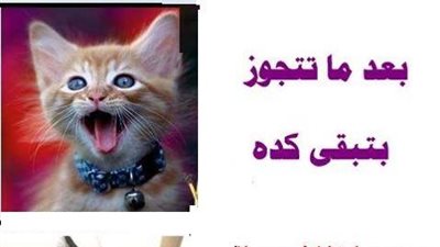 ساخرون.. مراحل البنت في الزواج