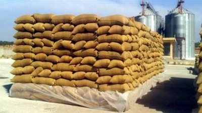 توريد 175 ألف طن قمح لصوامع وشون الغربية