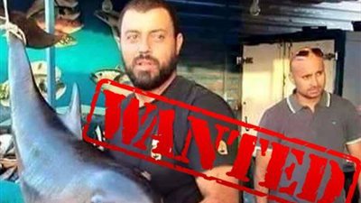 البحث عن متجر بيع «الدرافيل» المحرم صيدها دوليا