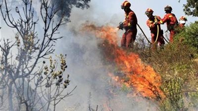 دراسة: 200% ارتفاع في حرائق غابات أوربا بسبب تغير المناخ بحلول 2090