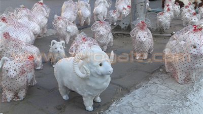 بالصور.. «خروف العيد» ينافس «فوانيس رمضان»