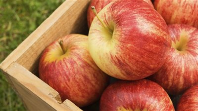 تراجع واردات مصر من التفاح خلال مارس الماضي لـ36 مليون دولار