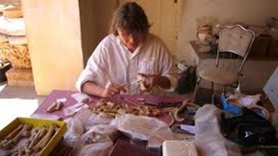 تحليل عظام الانسان الاوروبي الاول تكشف وجود أجناس بشرية باسم 