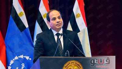 السيسي يستعرض فرص الاستثمار بمصر مع نائبة رئيس الأرجنتين