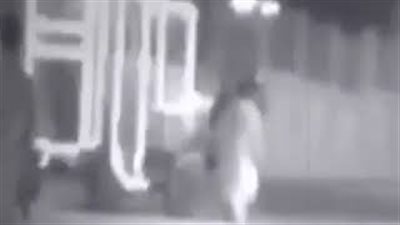 شاب يسيطر على حصان أثار فزع المواطنين السعوديين (فيديو)