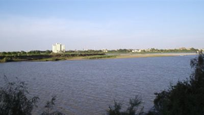 مسئول سابق: 40 ألف طن أقصى إنتاج لبحيرة ناصر من الأسماك