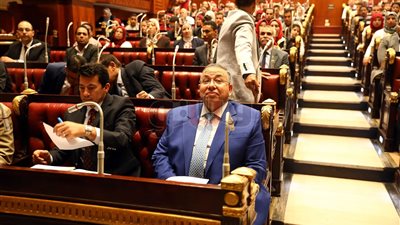 وزير الرياضة يدعو لرعاية كوادر برلماني الطلائع والشباب