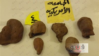 الجامعة الأمريكية تعيد ٥ آلاف قطعة أثرية للحكومة