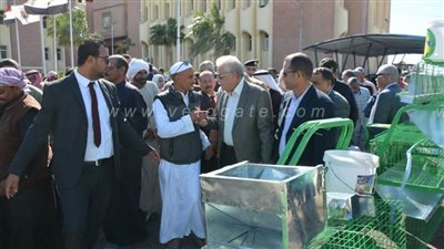 محافظ جنوب سيناء يوزع 30 بطارية أرانب مجانا على الأسر الأكثر احتياجا