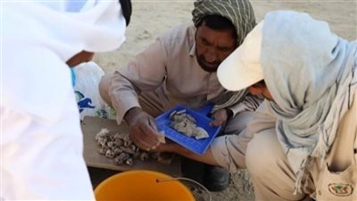 اكتشاف آثار عمرها 7 آلاف سنة في الإمارات