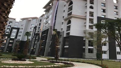 خبيرة: السوق العقارية في حالة تطور مستمر