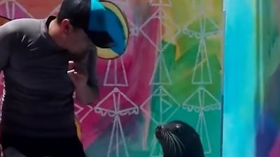 كلب بحر يشارك في مقلب نفذه صاحبه (فيديو)