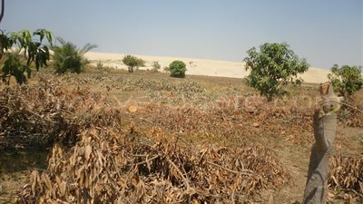 بالصور.. 61 قطعة أرض للمتضررين من حفر قناة السويس الجديدة