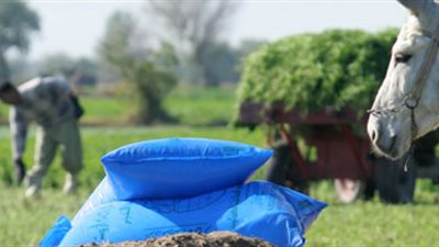 «زراعة الأقصر»: استمرار تسليم حصص أسمدة القصب حتى نهاية الشهر المقبل