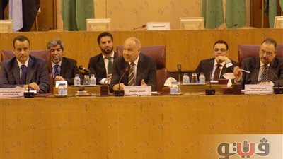 «أبو الغيط» يدعو الحوثيين لتغليب صوت العقل لإنهاء الأزمة اليمنية