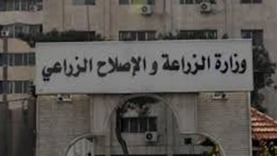«الزراعة»: 26 ألف فدان تعديات على الجزر النيلية وأراضي طرح النهر