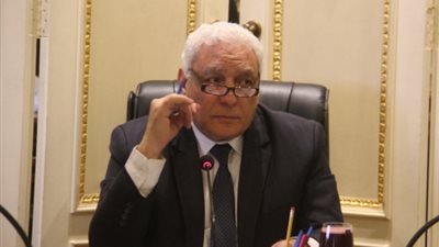 السيسي يكلف بدعم المشروعات الصغيرة ومتناهية الصغر وفق شروط ميسرة