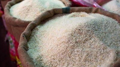 السيسي يوافق على استيراد الأرز