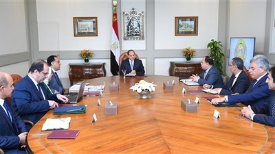 3 وزراء يعرضون على السيسي خطط تنفيذ مشروع التأمين الصحي الشامل