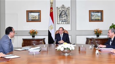 7 تكليفات رئاسية لوزير التموين.. تنشيط التجارة الداخلية.. دعم المشروعات الصغيرة ومتناهية الصغر.. إقامة منافذ ثابتة للشباب.. السماح باستيراد الأرز.. تكثيف إجراءات ضبط الأسواق.. والقضاء على الاحتكار