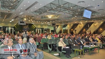 الإحصاء: 2882 جنيهًا حجم إنفاق المواطن سنويًا على اللحوم