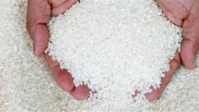 أستاذ زراعة: 20 جنيها سعر كيلو الأرز المحلي بعد فتح باب الاستيراد