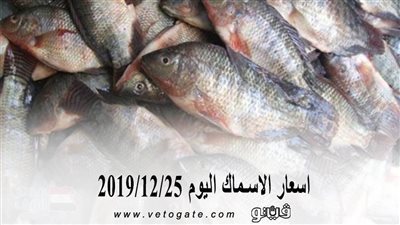اسعار الاسماك اليوم 2019/12/25
