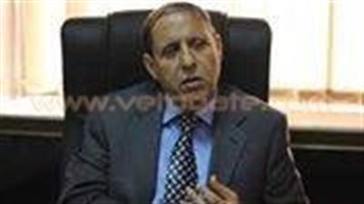 خبير اقتصادي: المصريون في الخارج أساس التنمية