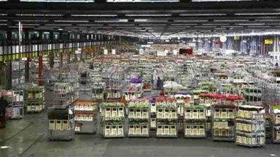 10 محاور بخطة العمل المقبلة لمركز تحديث الصناعة