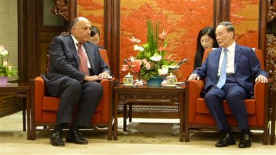وزير الخارجية يلتقي نائب رئيس الصين (صور)