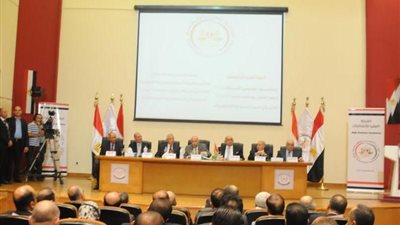 ننشر قرار «العليا للانتخابات» بشأن تنظيم تصويت المصريين في الخارج