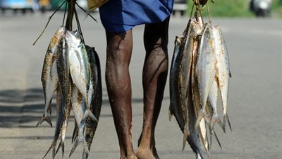 بالصور.. جولة حول العالم من نافذة الجارديان