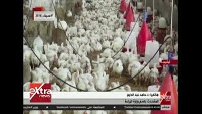 الزراعة: إنشاء شركة لشراء الذرة الصفراء وفول الصويا من الفلاحين
