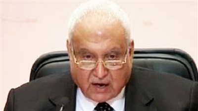 العليا للانتخابات: لم نقر تصويت المصريين بالخارج إلكترونيا