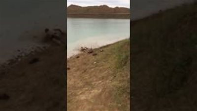 بالفيديو.. نهاية مؤلمة لشاب حاول القفز من أعلى جبل في البحر