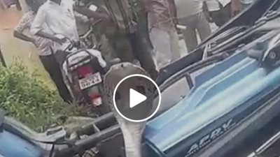 كوبرا تختبئ داخل دراجة نارية (فيديو)