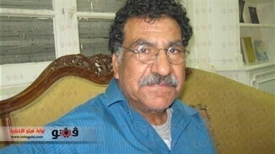 عضو لجنة الخمسين: كان يجب الترويج لقانون التظاهر قبل إصداره