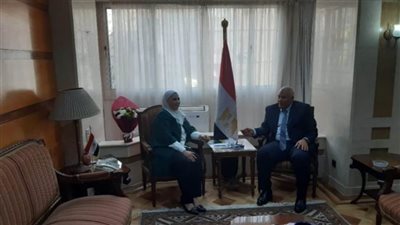 ٥٠٠ مشروع  للأسر المستحقة وقرى للمتضررين من التصحر في الوادي الجديد