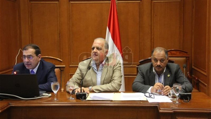  النائب طلعت السويدى،