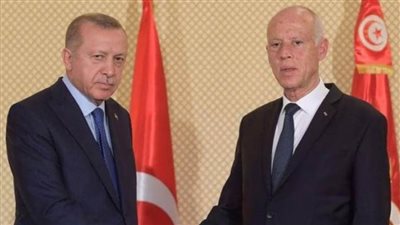 صحفية تونسية تهاجم أردوغان بعد زيارة بلادها| فيديو
