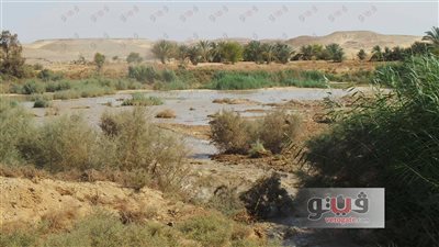 بالصور..غرق أراضي بلانة في أسوان بمياه الصرف الصحي