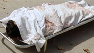 مصرع سائق وإصابة اثنين آخرين في حادث بالمنوفية