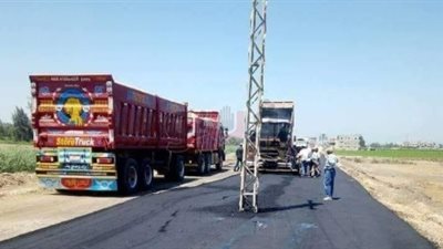 محافظ الشرقية يحيل المسئولين عن واقعة العمود الكهربائي للتحقيق