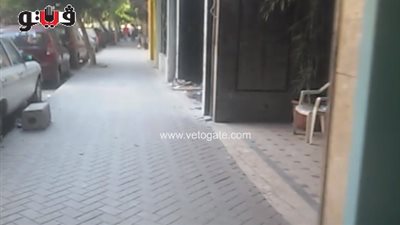 130 ألف جنيه سعر إيجار المحال التجارية بالزمالك شهريا (فيديو)