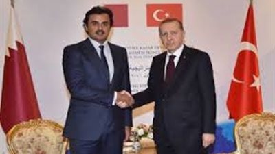 أردوغان وتميم يبحثان القضايا الإقليمية هاتفيا